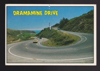 Dramamine Drive Pet Name An Unsettling Turn Of Events Northern Ca Highway 1 Pc