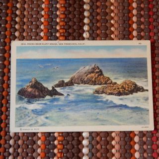 Vintage Postcard Seal Rocks Near Cliff House,  San Francisco,  California