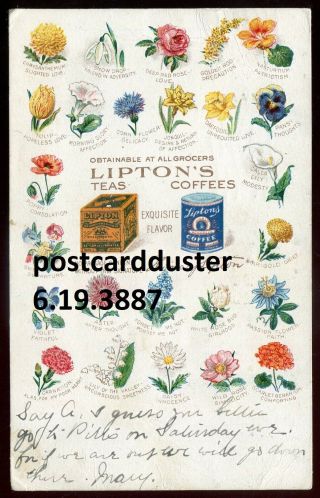3887 - Canada 1907 Lipton Tea & Coffee Illustrated Advertising