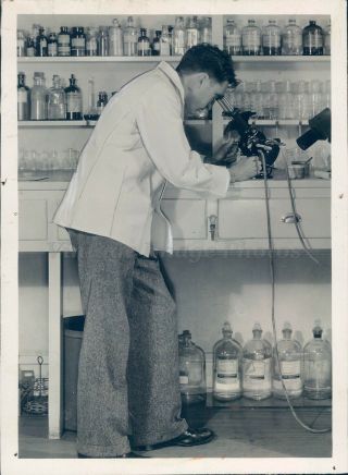 1931 Photo Dr Cecil Director Medical Arts Laboratory Philadelphia Pa Scientific