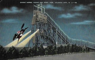 Diving Horse,  Ocean End Steel Pier,  Atlantic City Jersey N J 1930s