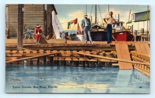 Postcard Fl Key West Turtle Crawls Vintage Linen E21