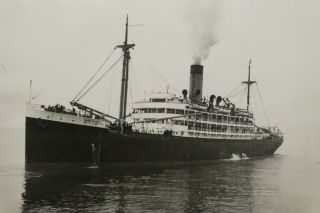 Rare B&w Photograph 5x7 Alaska Steamship Co.  Steam Ship Ss Mount Mckinley 1940
