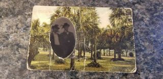 Vintage Springfield Park Jacksonville Fl Postcard By The Jamestown Ferrotype 160