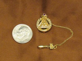 Antique Vtg 10k Gold & Amethyst Jobs Daughters Pin Iyob Filiae Masonic 2.  3g