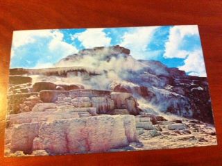 Vintage Postcard Wyoming Yellowstone National Park Mammoth Hot Springs Terrace