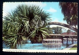 1975 Glass Bottom Boats,  Silver Springs,  Florida