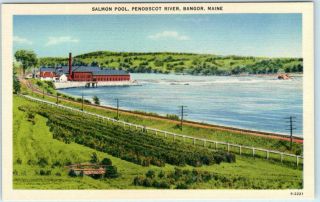 Bangor,  Maine Me Penobscot River Salmon Pool Ca 1940s Linen Postcard