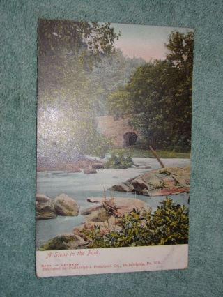 Vintage Postcard A Scene In The Park,  Philadelphia,  Pa.