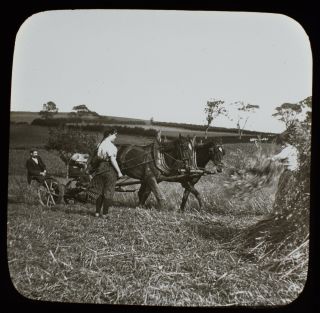 Magic Lantern Slide Farm Workers In Field C1890 Victorian Photo Horse Women