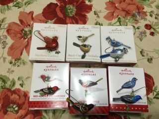 Set Of 6 Hallmark Beauty Of Birds Series Miniature Ornaments