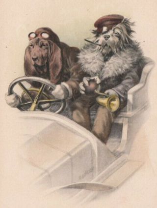 A/s R.  Ulreich Dressed Dog Chauffeur Bloodhound Terrier Early Auto Munk Vienne