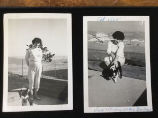 Vintage Photo Of Woman With Boston Terrier Dog 1965 (2) Photographs