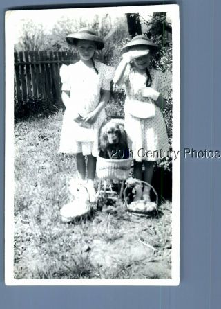 Black & White Photo A_3343 Girls In Dresses And Hats Posed With Dog In Carraige