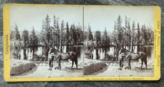 1870s California Stereoview Horse Crescent Lake At Head Of Merced River By Soule