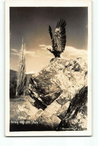 Bald Eagle Rppc Real Photo 1925 - 1942 King Of The Air Eagle Taking Flight