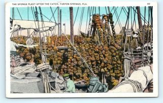 Postcard Fl Tarpon Springs The Sponge Fleet After The Catch E22