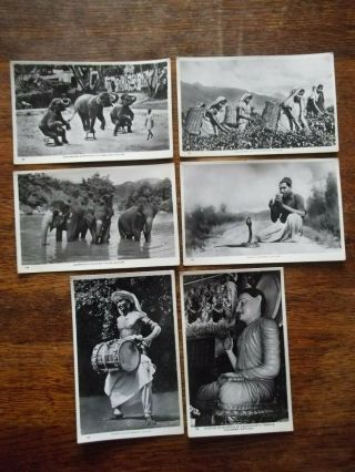 6 Vintage R/p Postcards.  Elephants,  Snake Charmer,  Kandyan Drummer,  Etc Ceylon