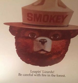 12 Vintage U.  S.  D.  A.  Forest Service Fire Prevention Smokey The Bear 1990 Posters