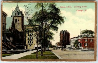 Chicago,  Il Postcard " Ashland Blvd.  Looking North " Street Scene Horses C1910