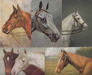Horses Vintage Artist Signed Postcards X 5
