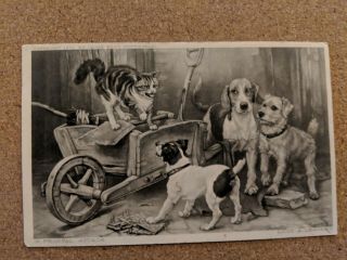 Vintage Cat Postcard.  B/w.  Cat.  Dogs.  Wheelbarrow.  Artist - Leavers.  Pm 1906.