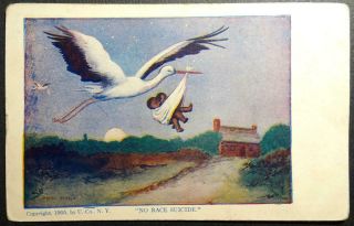 Postcard Artist Signed Henry Benson Black Americana No Race Suicide Stork Babies
