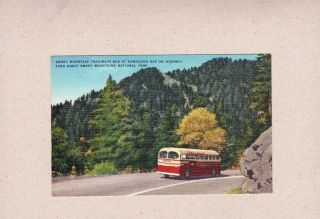 Vintage Postcard Great Smoky National Park Trailways Tour Bus Newfound Gap