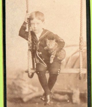 Cdv Young Boy Dressed As Sailor Sat On Swing Holding A Tabby Cat