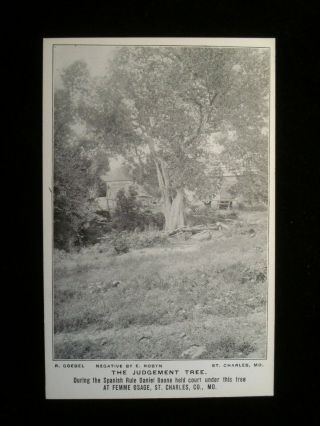 Femme Osage St.  Charles Mo; Daniel Boone Judgement Tree; Goebel
