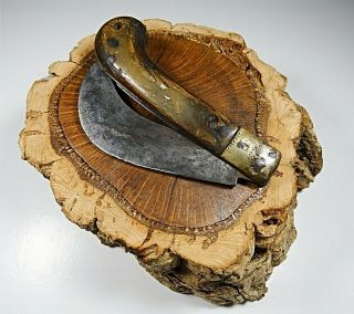 Antique 1900´s Knife Pocket Pruning Blade With Handle Bone