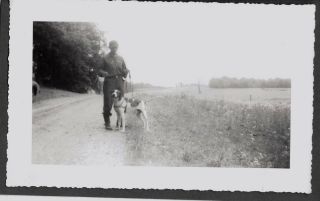 Vintage 1944 Racoons Hunting Dogs Puppy Hounds Retriever Pointers Bird Dog Photo
