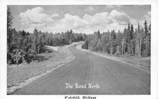 Wakefield Mi 1950 View Of The Road North Near Here Vintage Michigan Gem,  504
