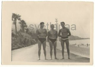 1964 Gagry Beach Tanned Men Swimming Trunks Athletes Shirtless Gay Vintage Photo