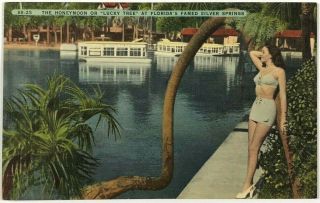 Vintage Postcard Honeymoon Lucky Tree Florida Fl Silver Springs Bathing Beauty