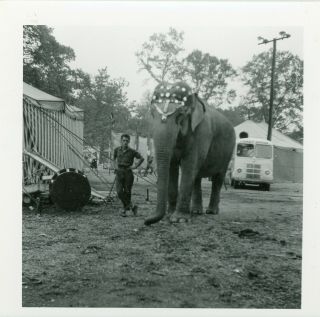 Vintage B/w Photo Of A Circus Elephant With Trainer And Ticket Office Bus
