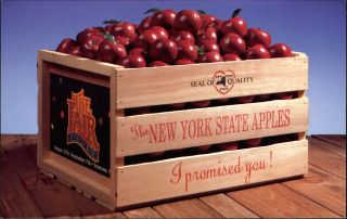 1992 York State Fair Apples Fruit Crate Agriculture Advertising Syracuse Ny