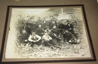 Rare Antique Modern Woodmen Of America Outdoor Group Axes Vt Cabinet Photo Us