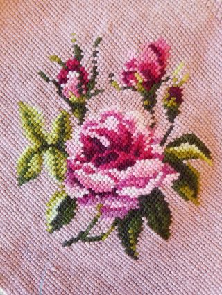 Pink Needlepoint Roses With Pink Background Romantic Shabby Chic Boho Gypsy Art