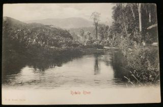 1905 Bocas Del Toro Panama Robalo River Scene Vintage Postcard
