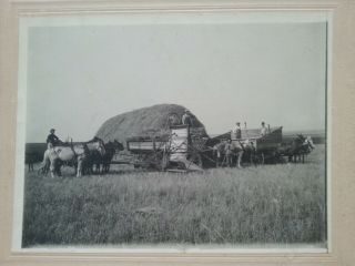 Antique Black & White Photograph - Farmers Harvest & Thresher - Alton Ks 1910