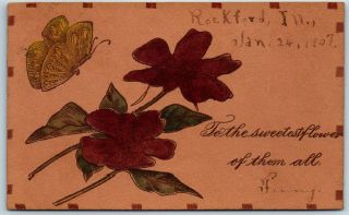 Rockford Illinois Leather Postcard Red Flowers / Butterfly Love / 1907 Cancel