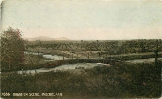 C - 1910 Farm Agriculture Irrigation Scene Phoenix Arizona Rppc Postcard 5292
