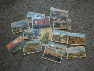 About 18 Vintage Postcards Of Desert Plants And Cactus - Pre - Wwii