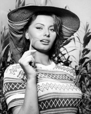 Film Actress Sophia Loren Glossy 8x10 Photo 