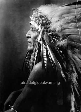 Old Photo.  Profile Of Native American Indian - Horse Goes Ahead