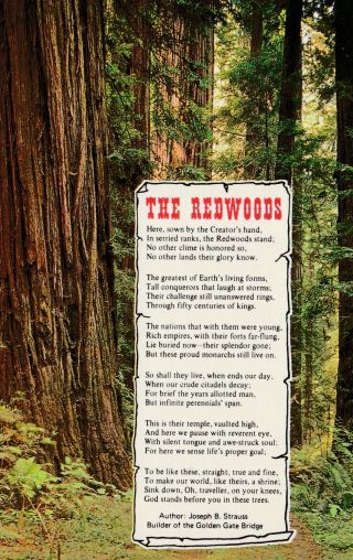 Postcard - " Poem Of The Redwood " /by Joseph Strauss (builder - Golden Gate Bridge)