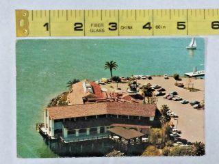 Vintage Postcard San Diego,  Ca California Tom Ham 