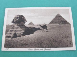 Cairo Sphinx And Pyramids Egypt Postcard