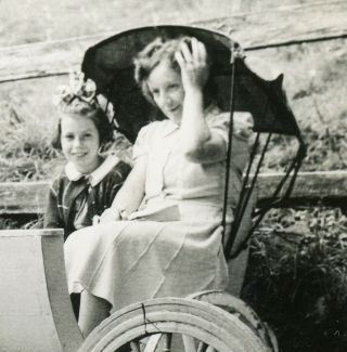 VINTAGE B/W PHOTO - DOGS WITH TOP HATS AND GLASSES PULLING A WAGON - GIRL & MOM 3